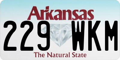 AR license plate 229WKM
