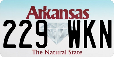 AR license plate 229WKN