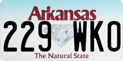 AR license plate 229WKO