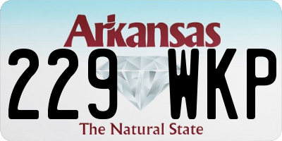 AR license plate 229WKP
