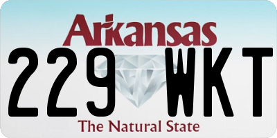 AR license plate 229WKT