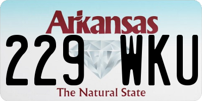 AR license plate 229WKU