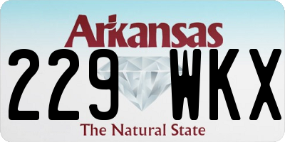 AR license plate 229WKX