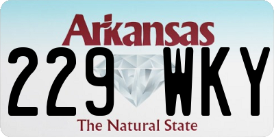 AR license plate 229WKY