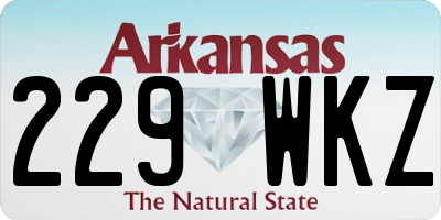 AR license plate 229WKZ