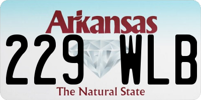 AR license plate 229WLB