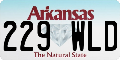 AR license plate 229WLD
