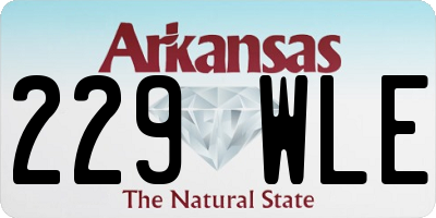AR license plate 229WLE