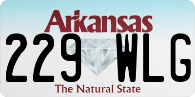 AR license plate 229WLG