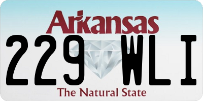 AR license plate 229WLI
