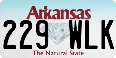 AR license plate 229WLK