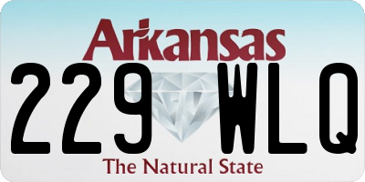 AR license plate 229WLQ