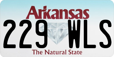 AR license plate 229WLS