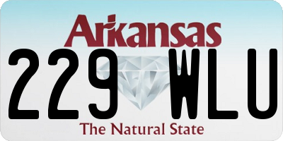 AR license plate 229WLU