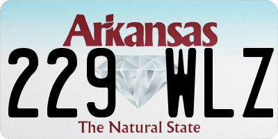 AR license plate 229WLZ