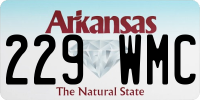 AR license plate 229WMC
