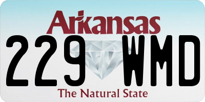 AR license plate 229WMD