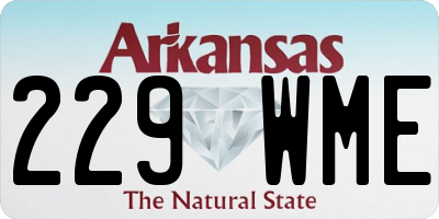 AR license plate 229WME