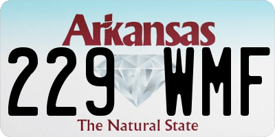AR license plate 229WMF