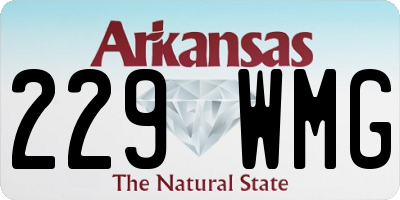 AR license plate 229WMG