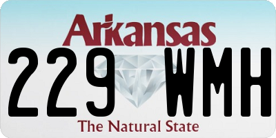AR license plate 229WMH