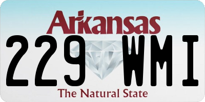 AR license plate 229WMI