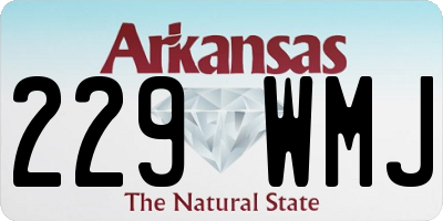 AR license plate 229WMJ