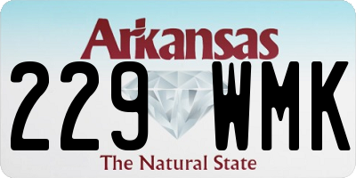 AR license plate 229WMK