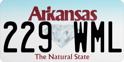 AR license plate 229WML