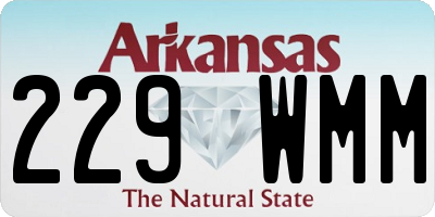 AR license plate 229WMM