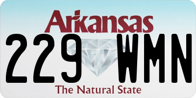 AR license plate 229WMN