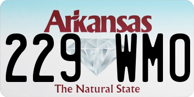 AR license plate 229WMO