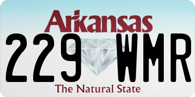 AR license plate 229WMR