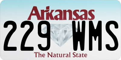 AR license plate 229WMS