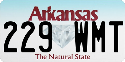 AR license plate 229WMT
