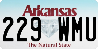 AR license plate 229WMU