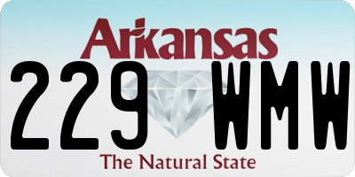AR license plate 229WMW
