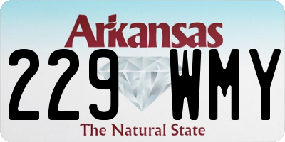 AR license plate 229WMY