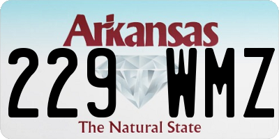 AR license plate 229WMZ