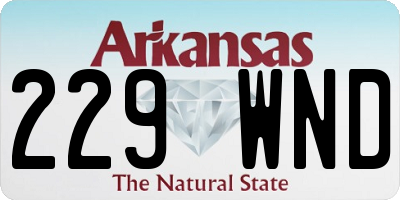 AR license plate 229WND