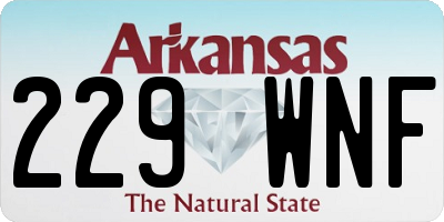 AR license plate 229WNF