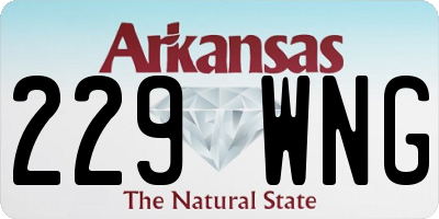 AR license plate 229WNG