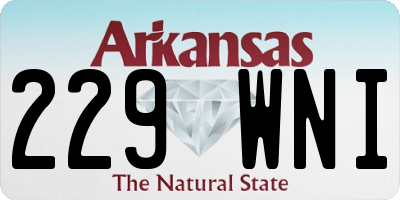 AR license plate 229WNI