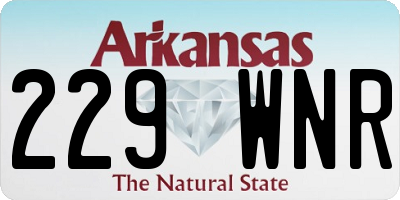 AR license plate 229WNR
