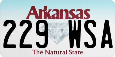AR license plate 229WSA