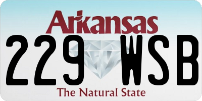 AR license plate 229WSB