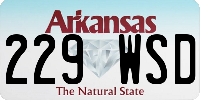 AR license plate 229WSD