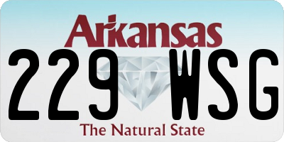 AR license plate 229WSG