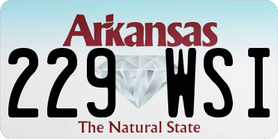 AR license plate 229WSI