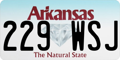 AR license plate 229WSJ